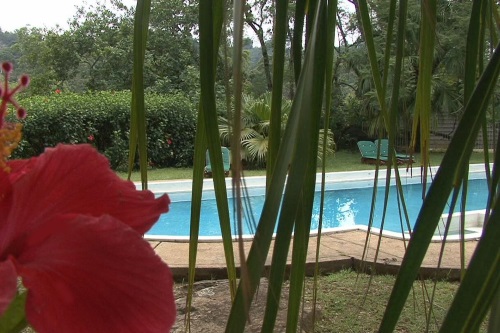 Emafini Guest Lodge zwembad